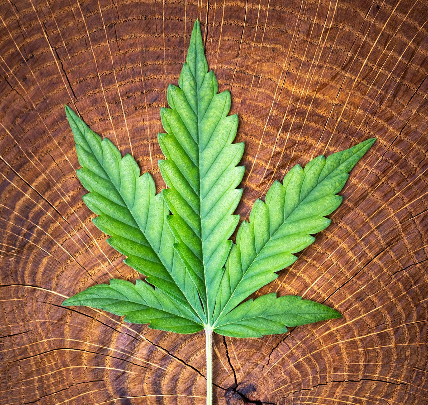 Delta 8, Delta 9 y HHC: ¿qué son y cómo se diferencian? - Vapeando Ando vape shop