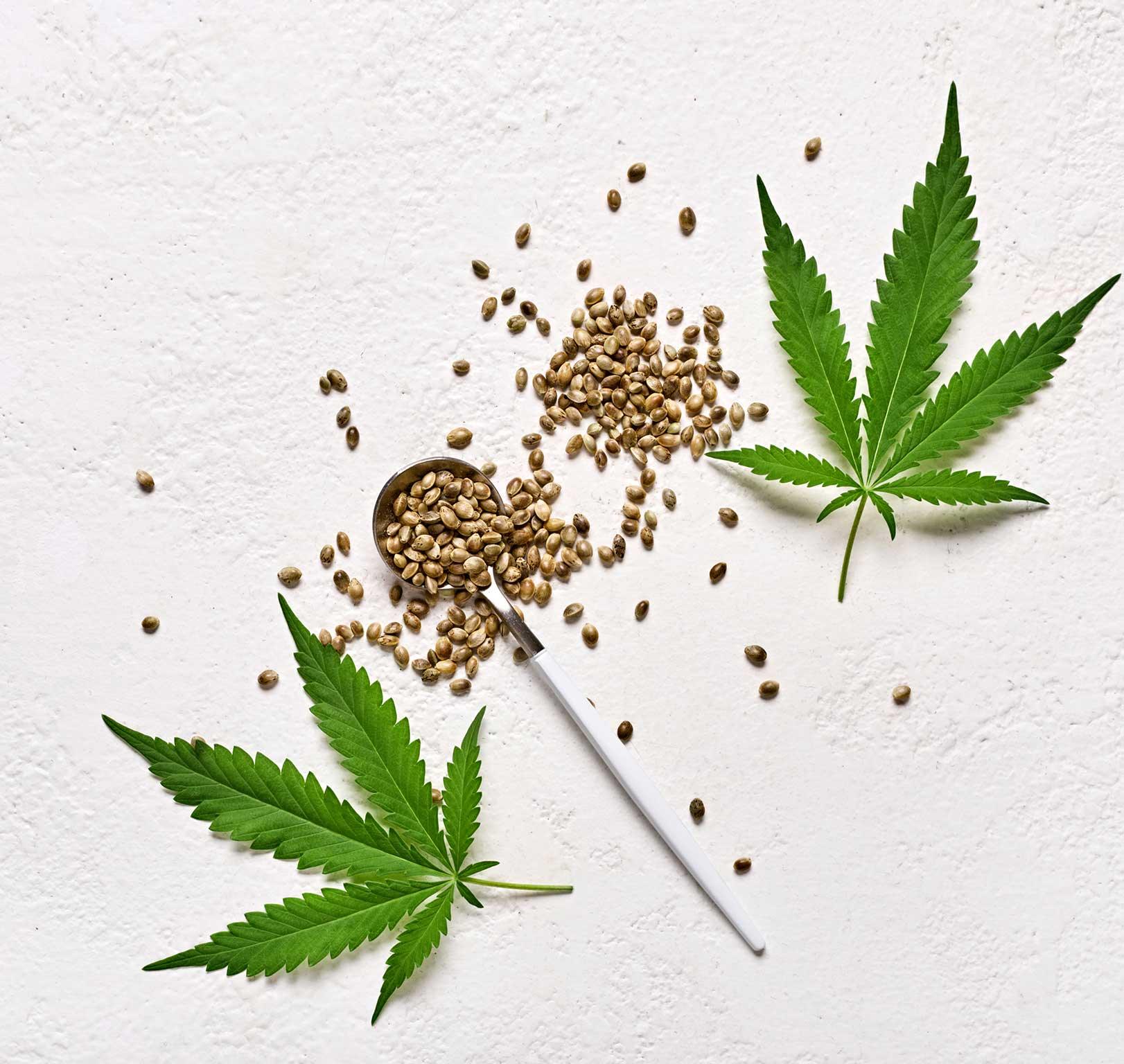 Indica vs. Sativa ¿Cuál es la diferencia? - Vapeando Ando vape shop