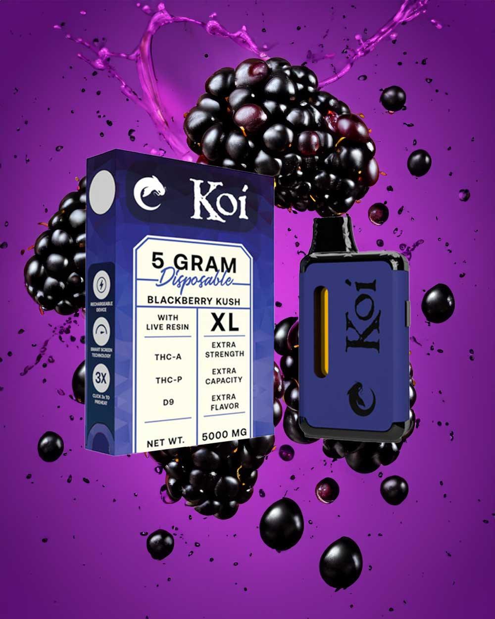 KOI 5 Gram THC - Blackberry Kush - Vapeando Ando vape shop