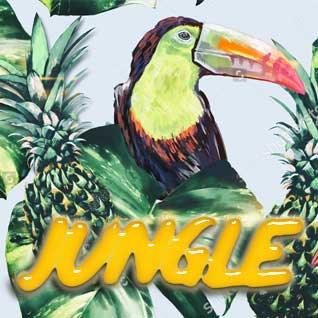 Jungle - 0 mg / 30ml - Vapeando Ando vape shop