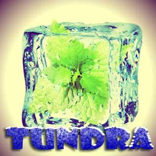 Tundra - 0 mg / 30ml - Vapeando Ando vape shop